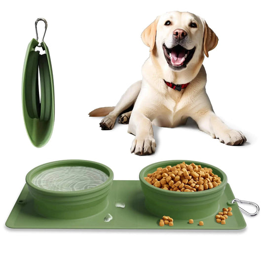 All-in-One Dog Travel Bag