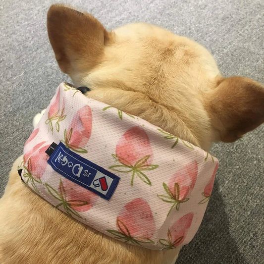 Summer pet dog cooling scarf in strawberry pink, featuring cold-retaining fabric for heat relief.