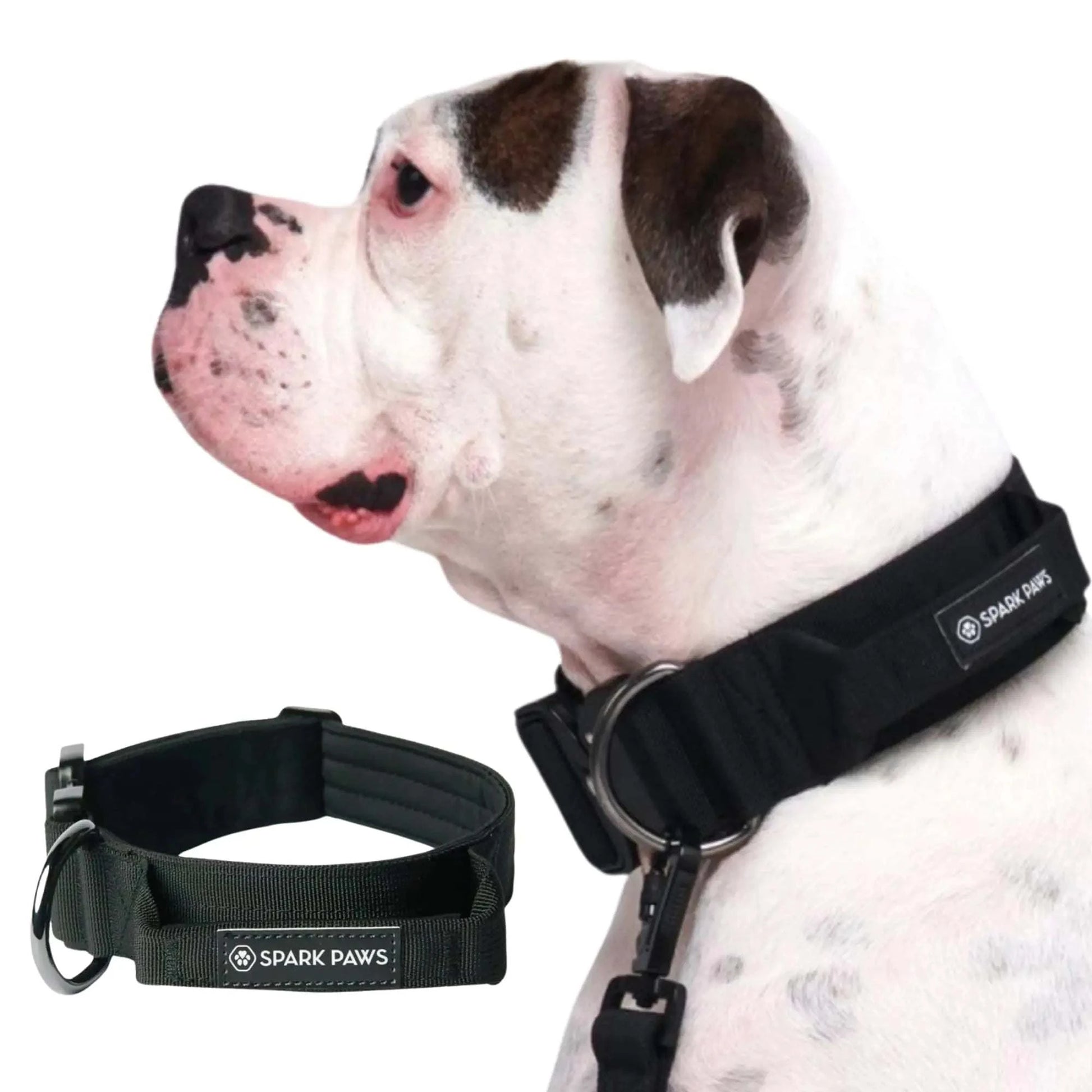 Spark Paws Tactical Dog Collar - Heavy Duty Premium Quality Thick and Durable for Large and Medium Dogs - Black - L - 1.5"