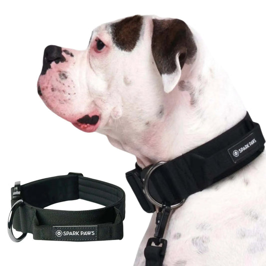 Heavy-duty black tactical dog collar with metal buckle and handle for large breeds.
