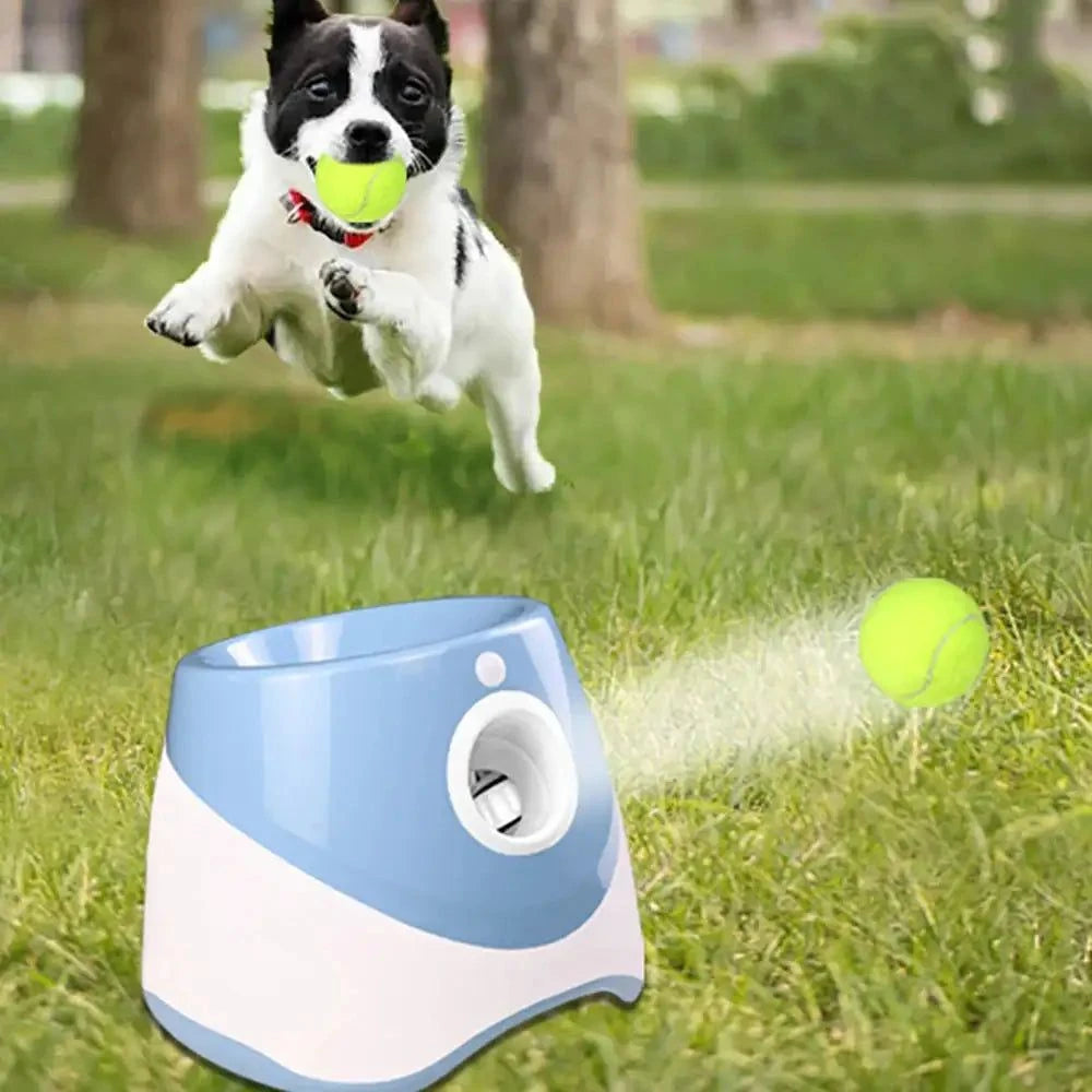 Automatic Tennis Ball Launcher – Solo Practice & Dog Fetch Trainer (Includes 3 Balls)