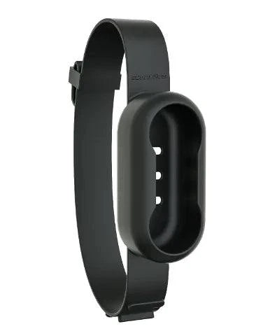Wireless Pet Collar Camera