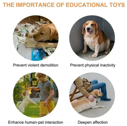 Interactive Pet Communication Button – Recordable Talking Button for Dogs & Cats