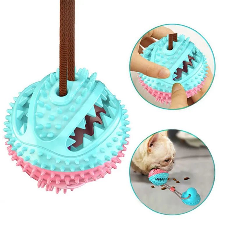 Suction Ball Interactive Dog Toy – Stick & Play Tether Ball for Active Dogs