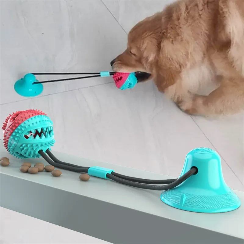 Suction Ball Interactive Dog Toy – Stick & Play Tether Ball for Active Dogs