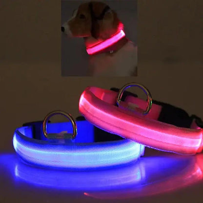 LED Pet Safety Collar