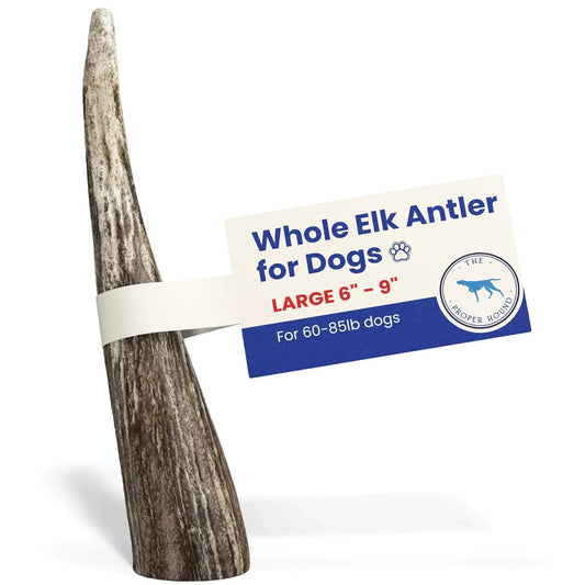 EnduraChew Large Elk Antlers natural durable dog chew for medium to large aggressive chewers
