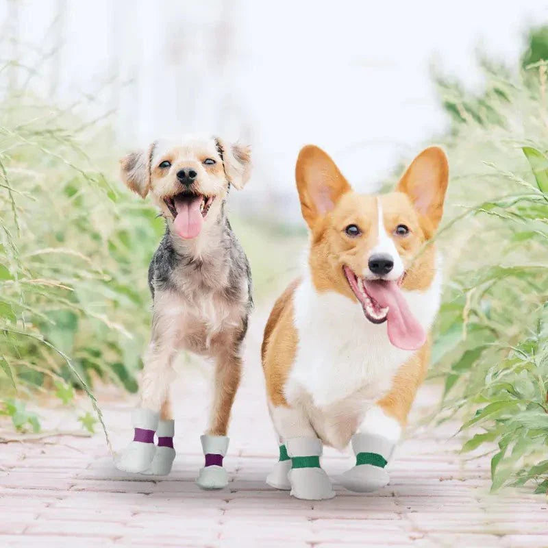 Waterproof Disposable Dog Shoe Covers - Protect Your Floors from Mud &amp; Dirt