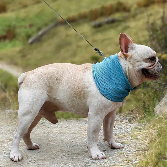 Cooling neck scarf for dogs in blue, providing instant relief on hot days.