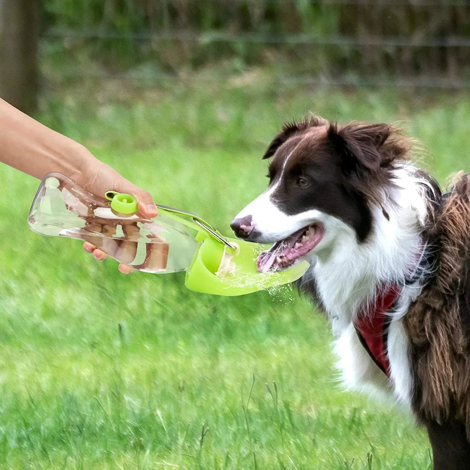 Pet Travel Essentials Kit – Everything Your Pet Needs for Life on the Move