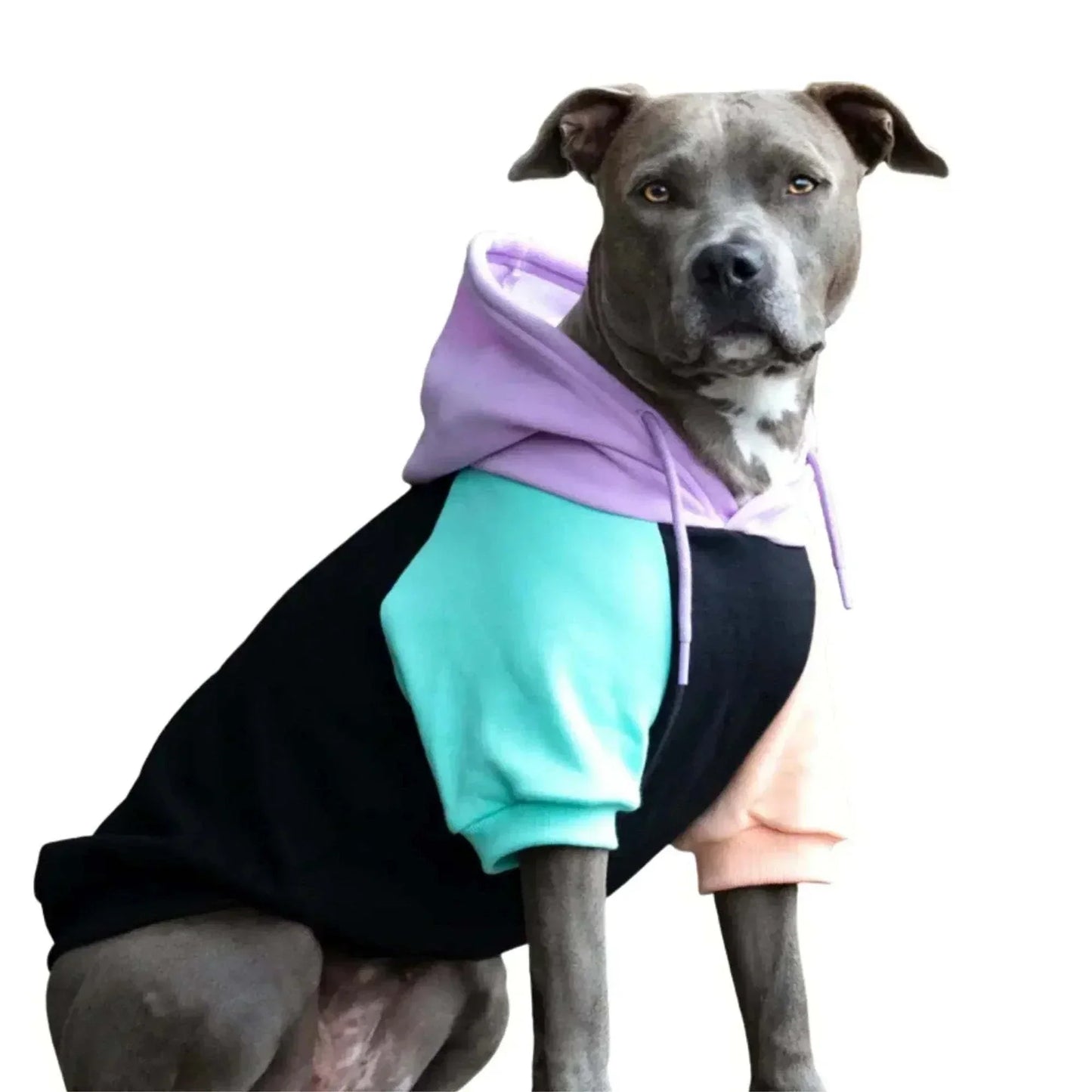  Butter-Stretch Comfort Dog Hoodie