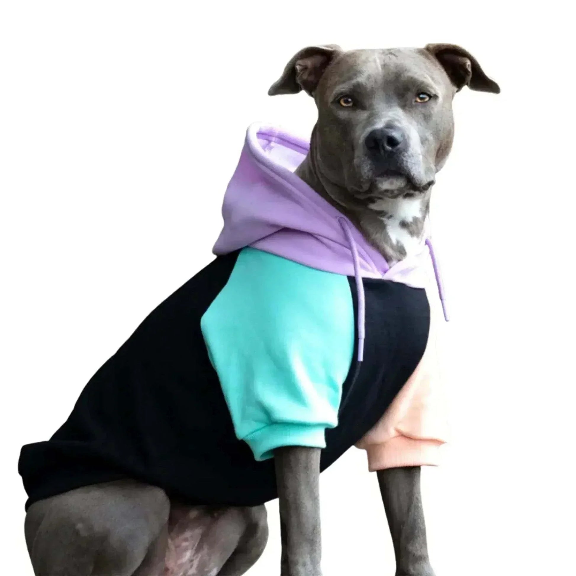 Butter-Stretch Comfort Dog Hoodie– Premium Fit for Big Breeds