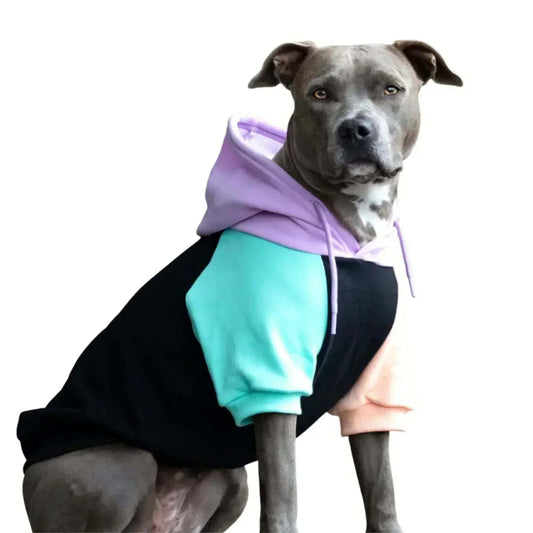   Butter-Stretch Comfort Dog Hoodie